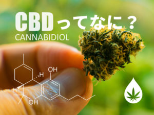 CBD効果とは