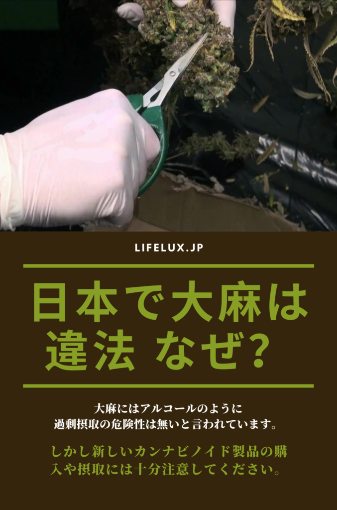 大麻　違法　ライフラックス