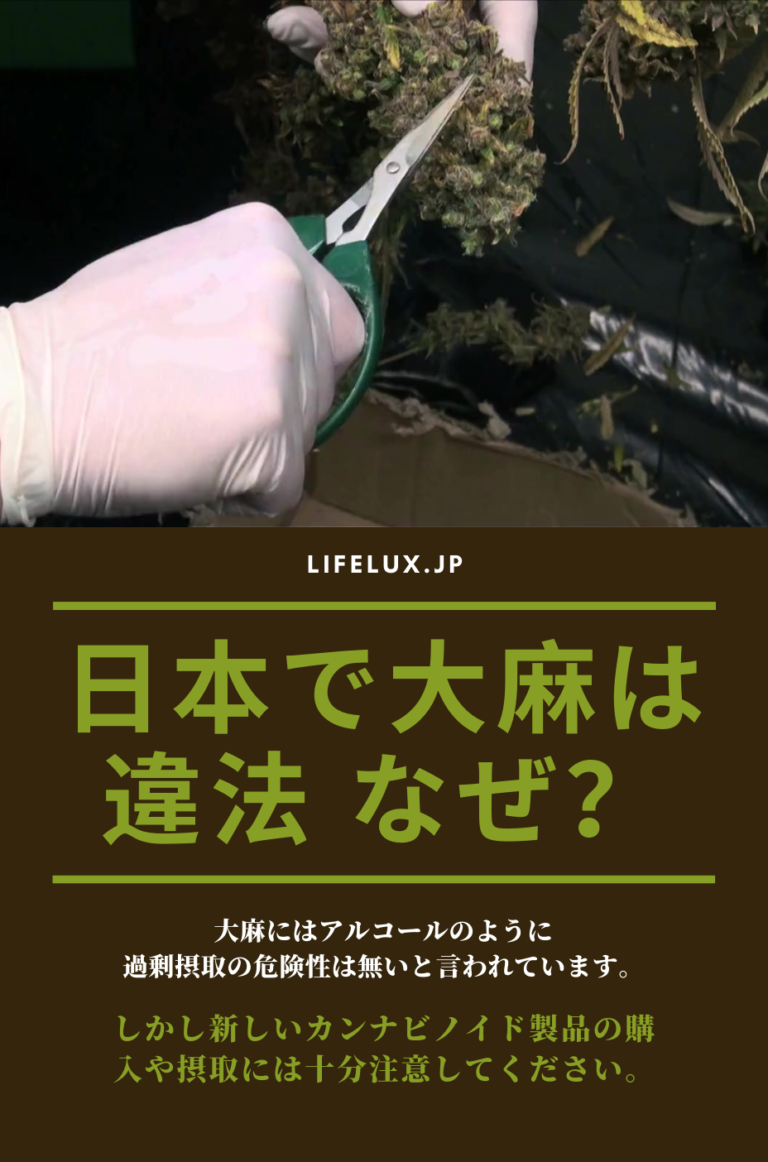 大麻　違法　ライフラックス