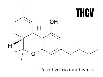 THCV 効果と違法性の説明文用化学式